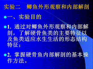 实验二鲫鱼外形观察和内部解剖.ppt