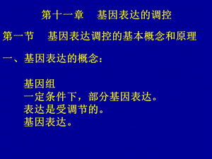 医师基因表达调控.ppt