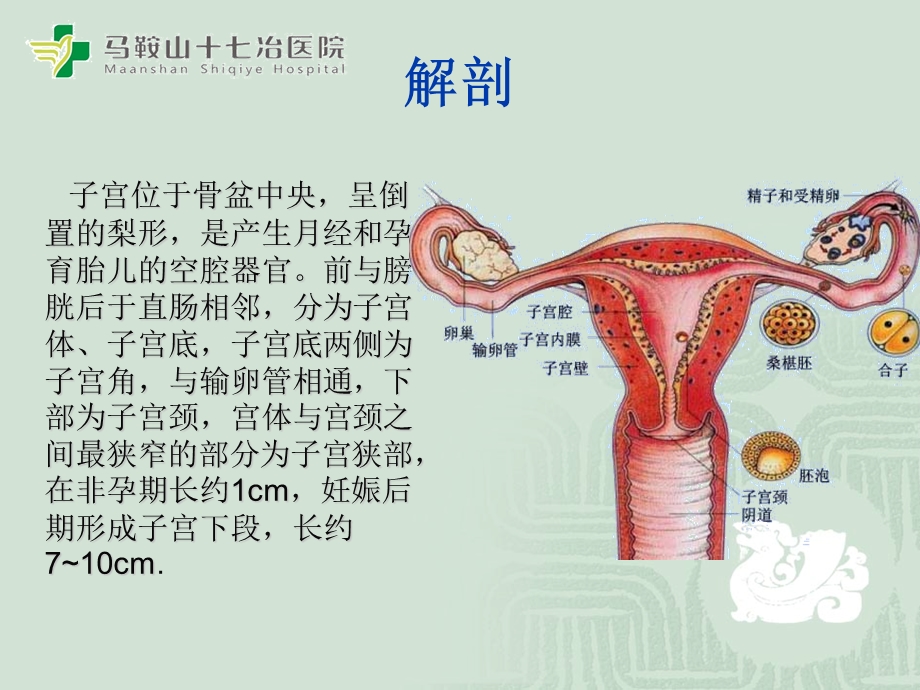 剖宫产手术配合及护理查房.ppt_第3页