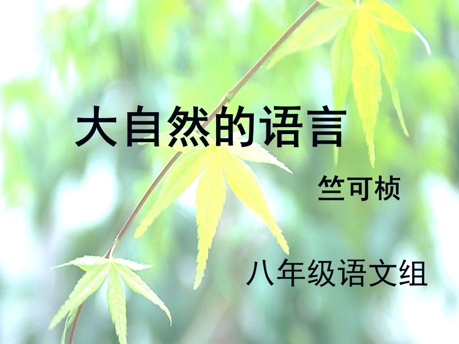 大自然的语言修改.ppt_第2页