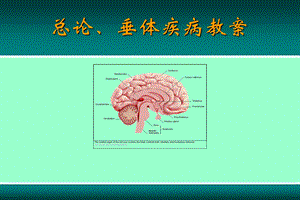 内分泌总论-垂体病.ppt