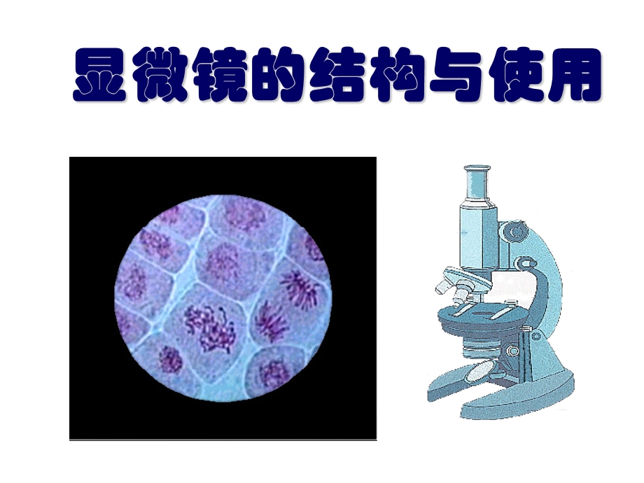 显微镜结构与使用.ppt_第1页