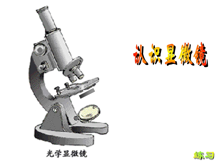 显微镜结构与使用.ppt_第3页