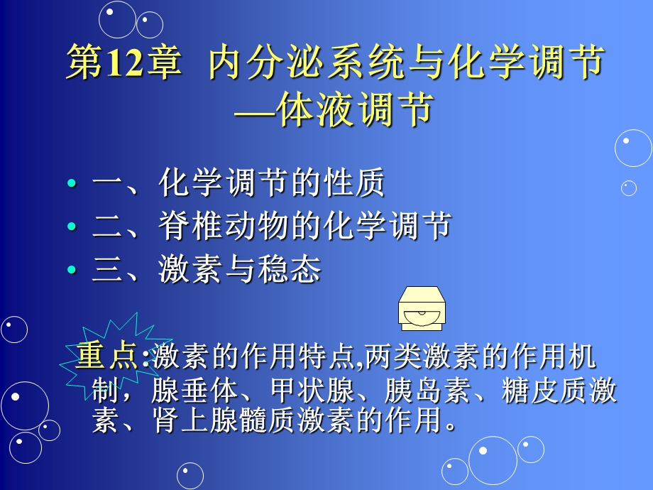 内分泌系统与化学调节.ppt_第1页