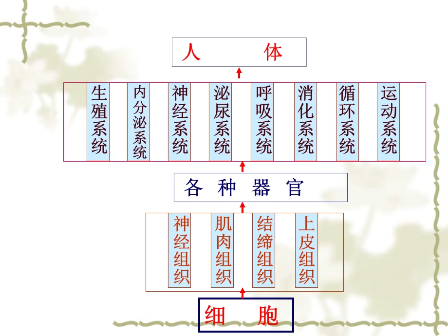 婴幼儿生长发育及保育.ppt_第3页