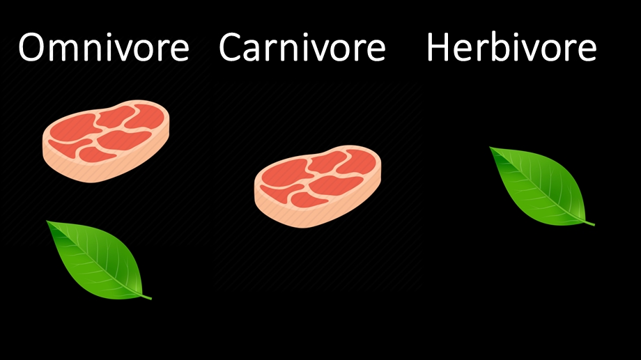 恐龙种类中英文对照dinosaurflashcards.ppt_第1页