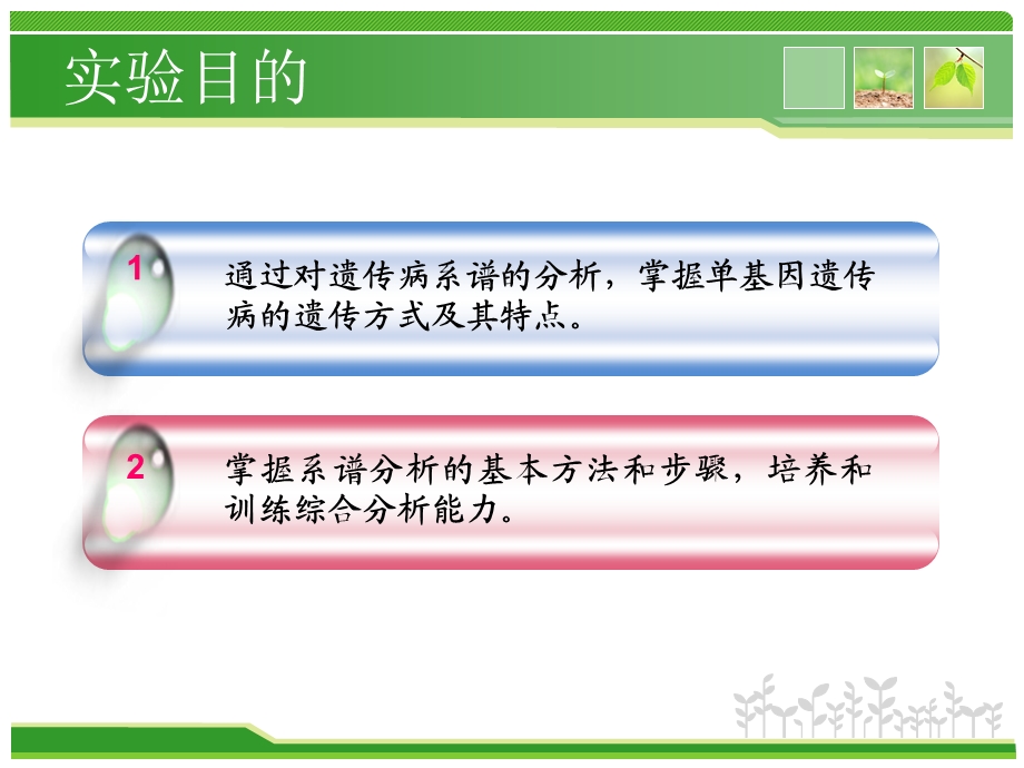 系谱分析.ppt_第2页