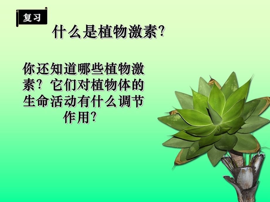 其他植物激素-新课标.ppt_第1页