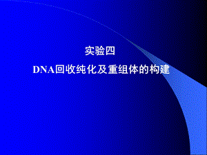 实验四DNA回收纯化及重组体的构建.ppt