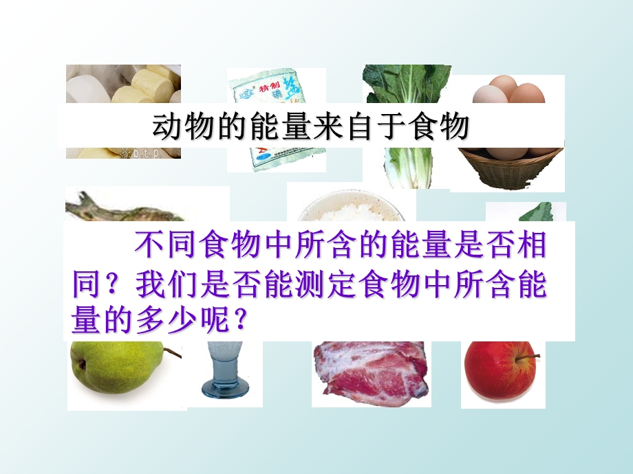 动物的食物和摄食.ppt_第3页