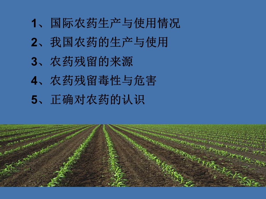 农药残留与危害.ppt_第2页