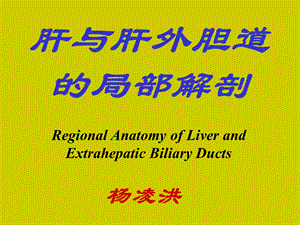 中国医科大学肝Liver.ppt