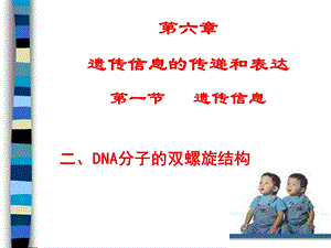 DNA的结构上课.ppt