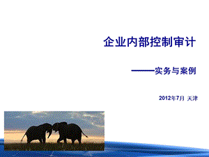 内部控制审计实务与案例讲解.ppt