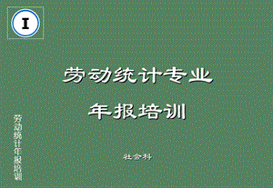 劳动统计专业年报培训社会科.ppt