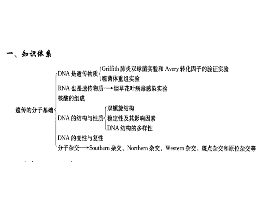 四遗传物质的分子基础.ppt_第2页