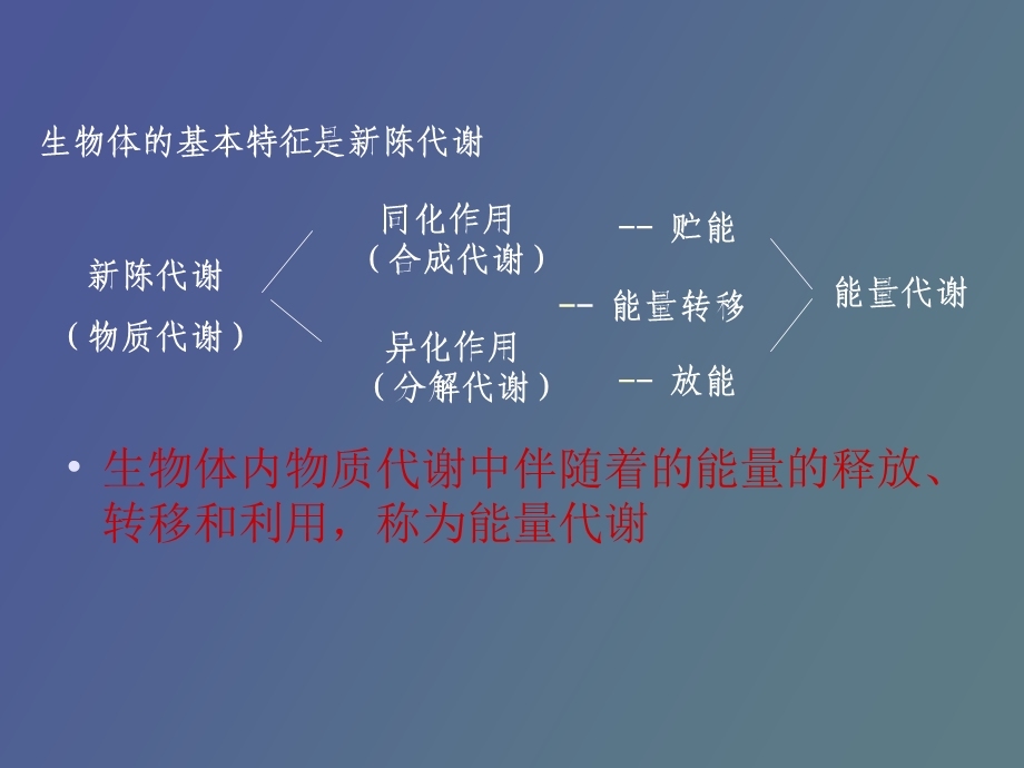 劳动能量与作业疲劳.ppt_第3页