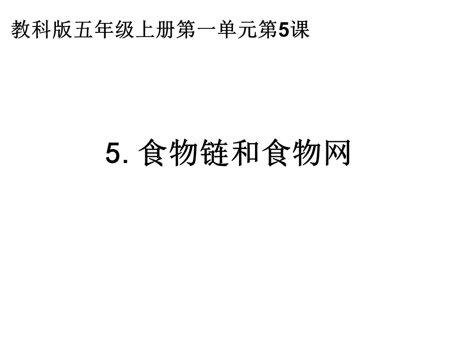 教科版五年级科学上册食物链和食物网.ppt_第1页