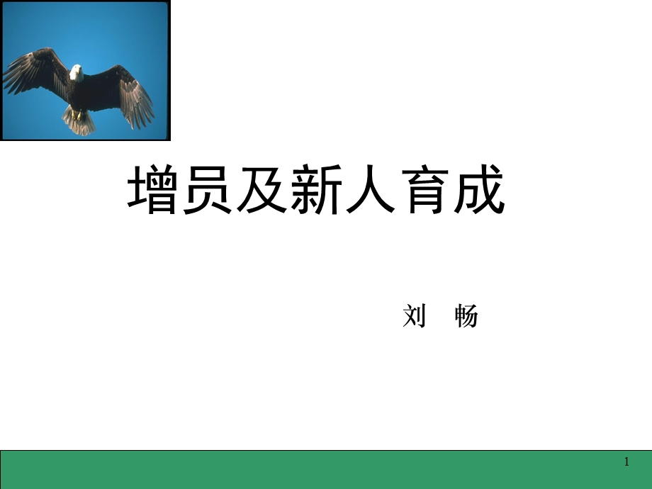 增员及新人育成.ppt_第1页