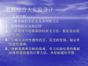 果蝇综合大实验设计.ppt