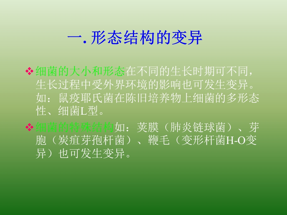 五章节细菌遗传与变异.ppt_第3页