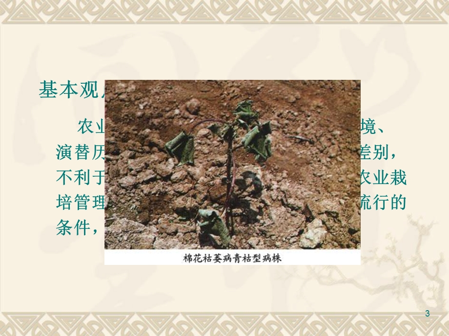 农业生态系统和植物病害流行.ppt_第3页