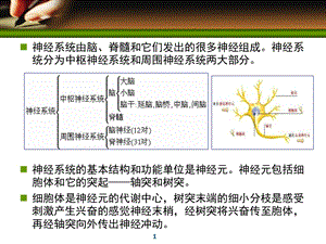 周围神经系统药物.ppt