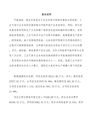 云南工业气体项目可行性研究报告.docx