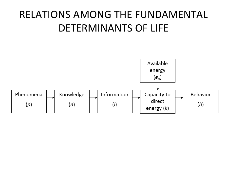 DEVELOPMENTOFANATURALLIFEANDSOCIETYSCIENCE.ppt_第2页