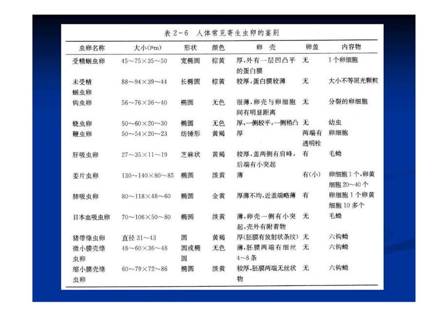 第十九节消化道寄生虫的病原检查.ppt.ppt_第3页