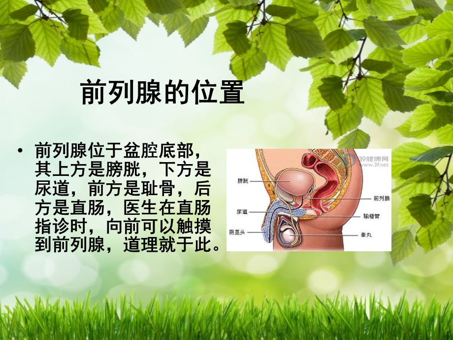 前列腺增生的健康教育.ppt_第2页