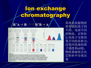 南农生物分离工程生物分离.ppt