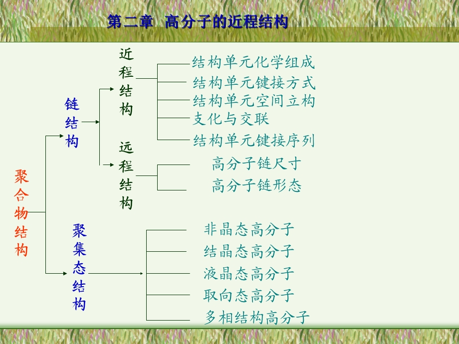 第二章高分子的近程结构.ppt_第2页