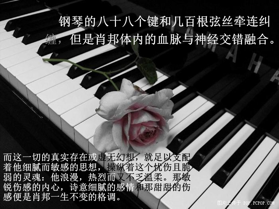 关于钢琴的音乐课件.ppt_第3页