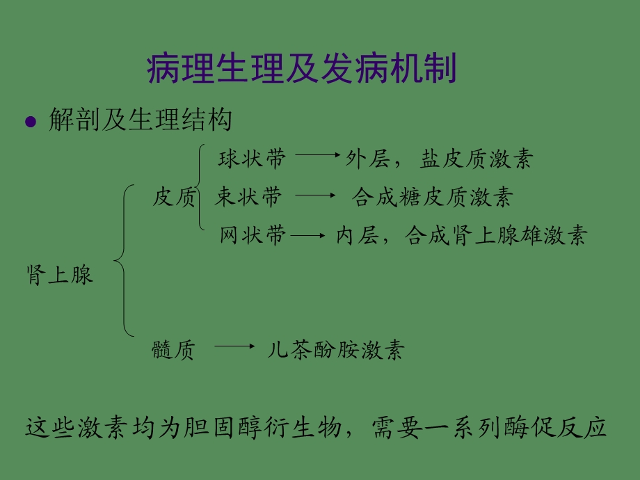 先天性肾上腺皮质增生症.ppt_第3页