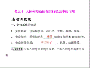 专题十四考点4人体免疫系统在维持稳态中的作用.ppt