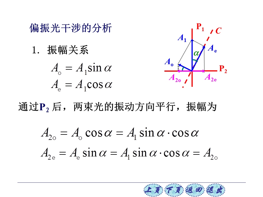 偏振光干涉装置.ppt_第2页