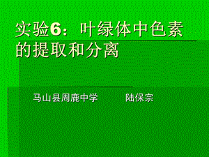 叶绿体中色素的提取和分离.ppt