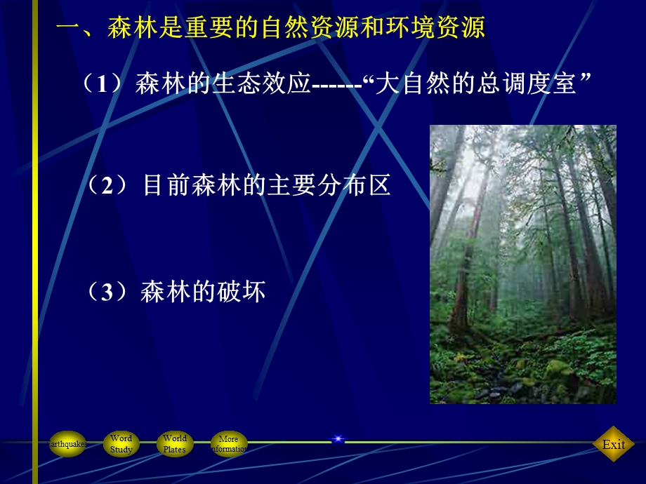 教学课件第二节森林的开发和保护(完整版).ppt_第2页