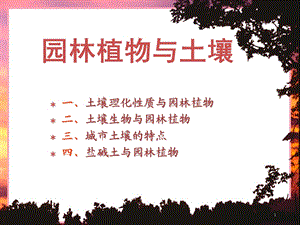 土壤与园林植物(上课用).ppt