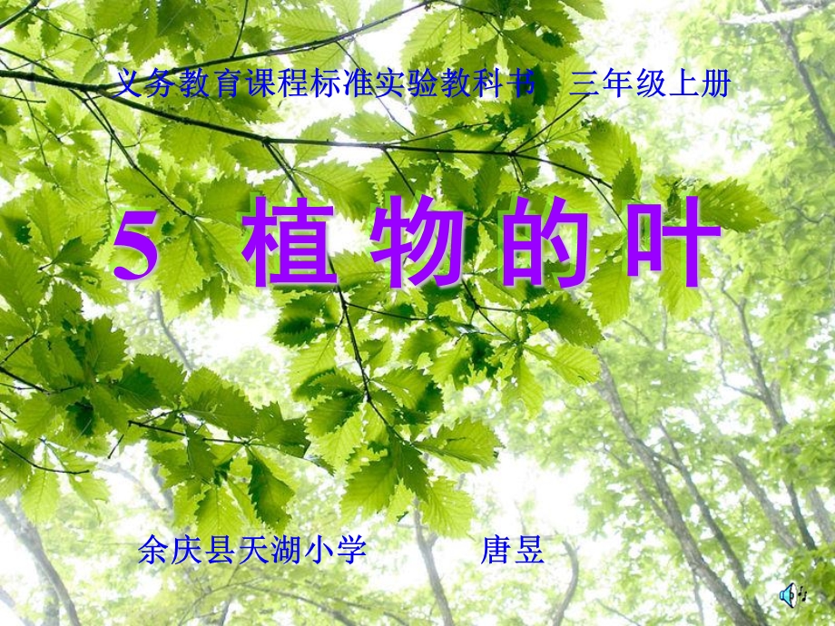 教科版科学三上《植物的叶》.ppt_第1页