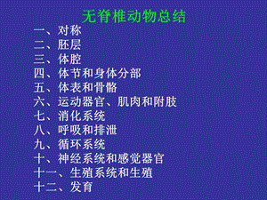 无脊椎动物总结.ppt