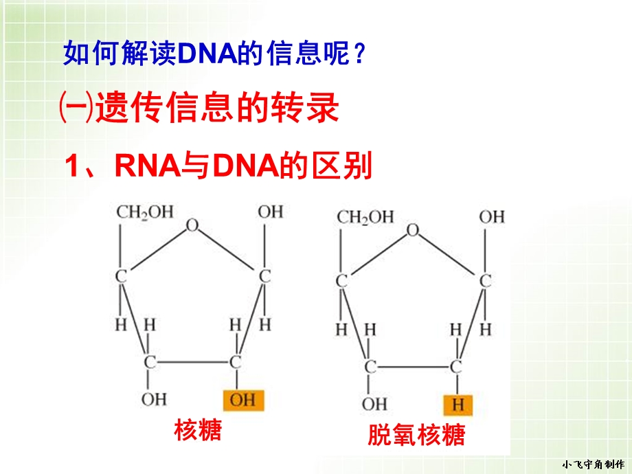 基因指导蛋白质的合成(公开课课件).ppt_第3页