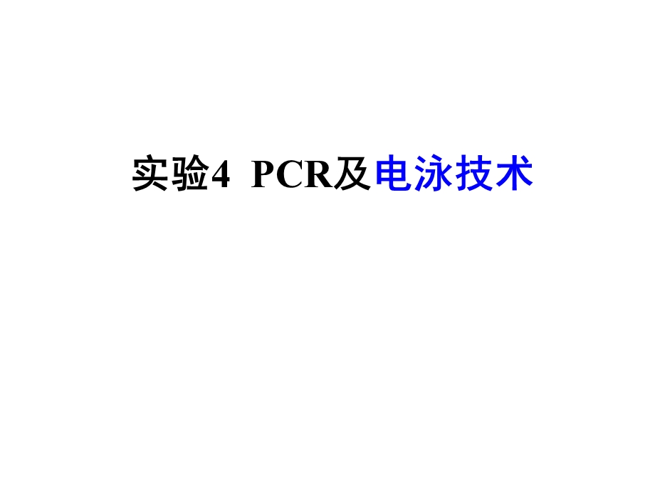 实验四+PCR及电泳技术.ppt_第1页