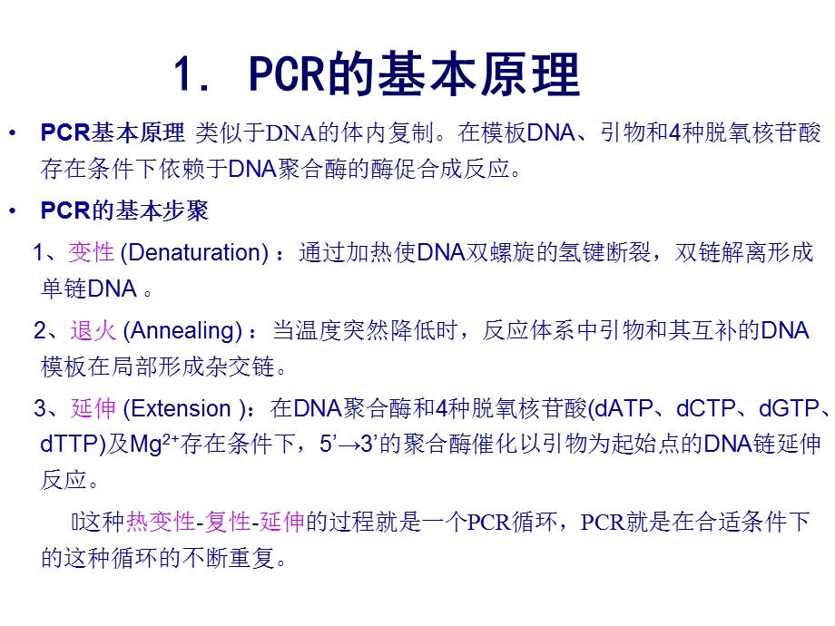 实验四+PCR及电泳技术.ppt_第2页