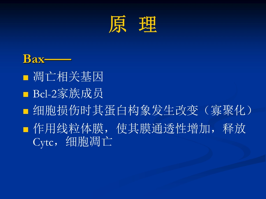 凋亡相关基因Bax在不同细胞中表达产物差异检测.ppt_第3页