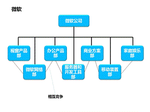 六大IT企业组织结构.ppt