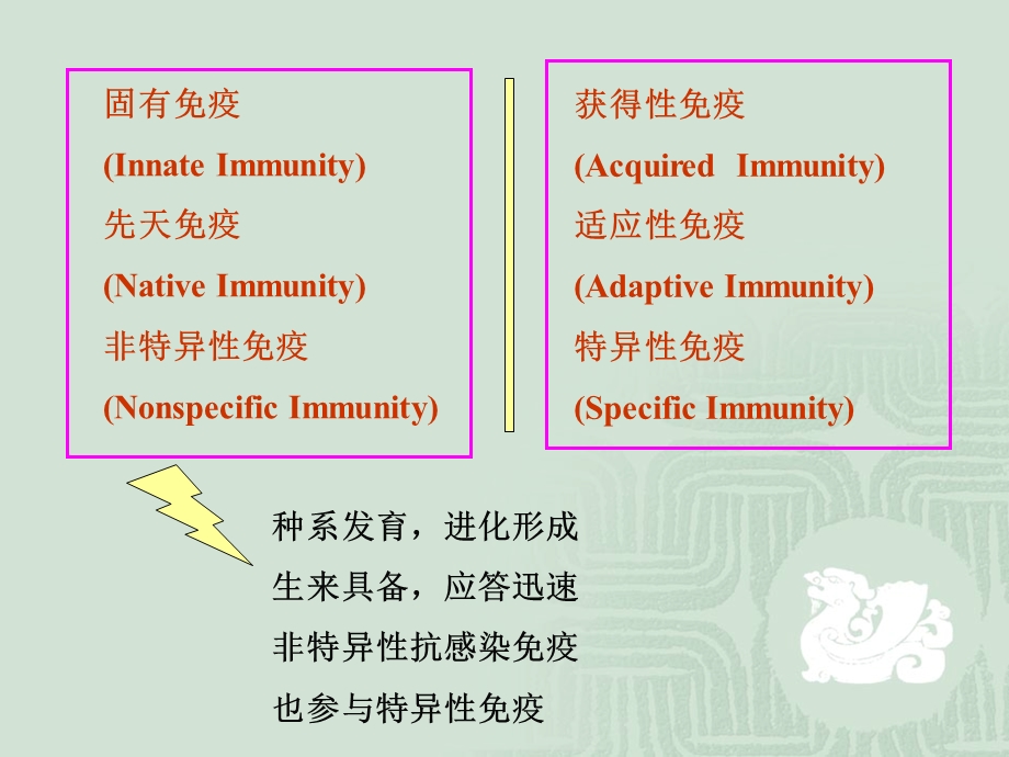 免疫学固有免疫.ppt_第2页