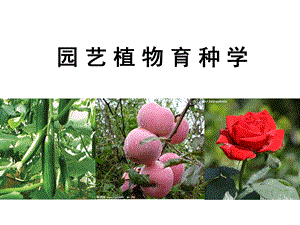 园艺植物育种学.ppt