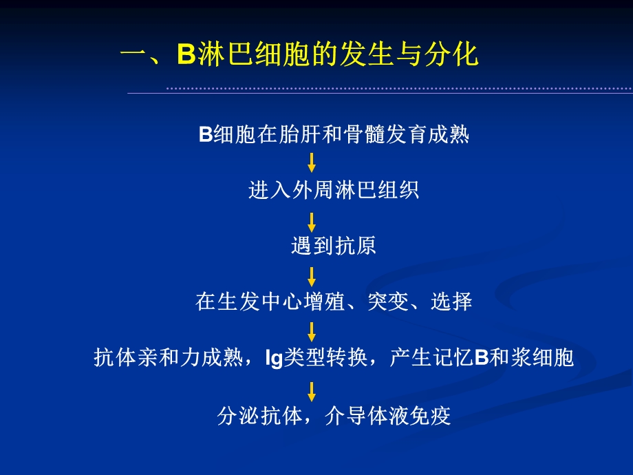 免疫细胞-B细胞.ppt_第2页